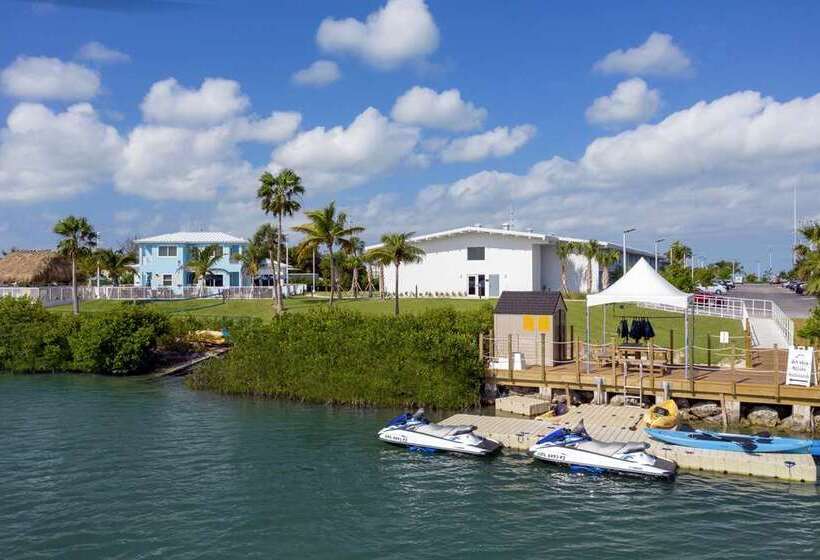 فندق Hampton Inn Marathon   Florida Keys