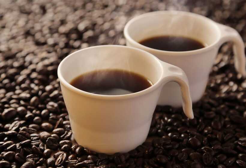 Fotos del hotel Keio Presso Inn Higashi Ginza:  15