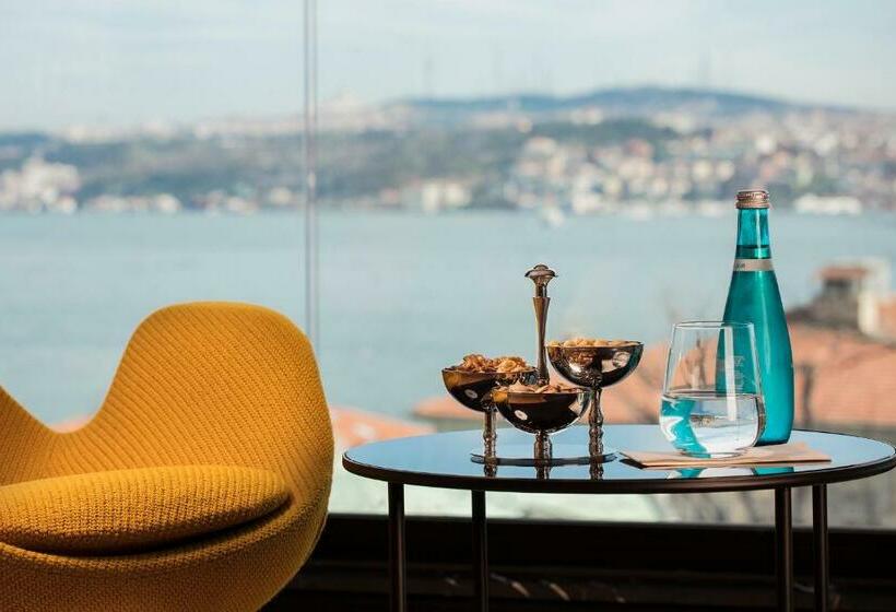 هتل Metropolitan S Bosphorus  Special Class