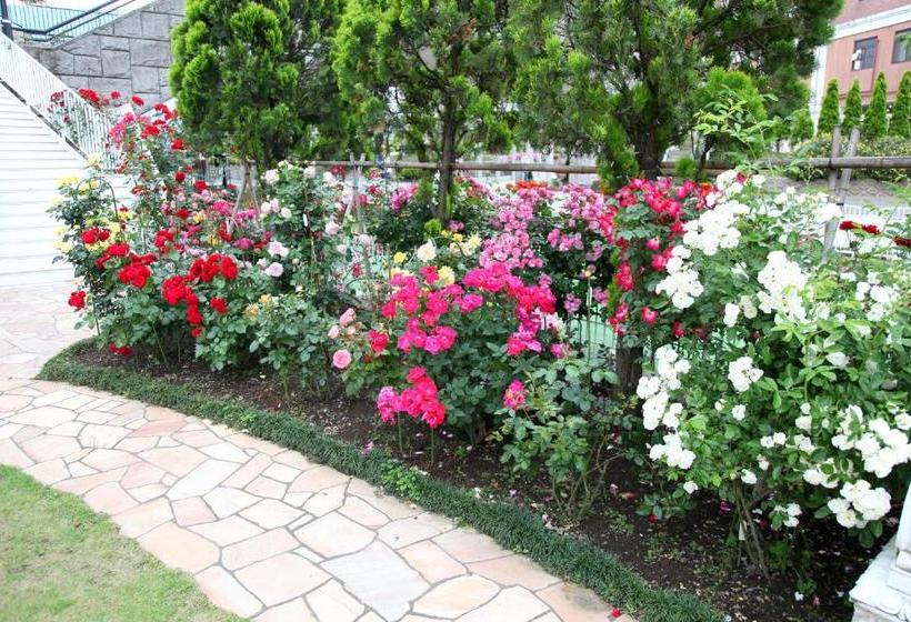 Отель Sunlife Garden