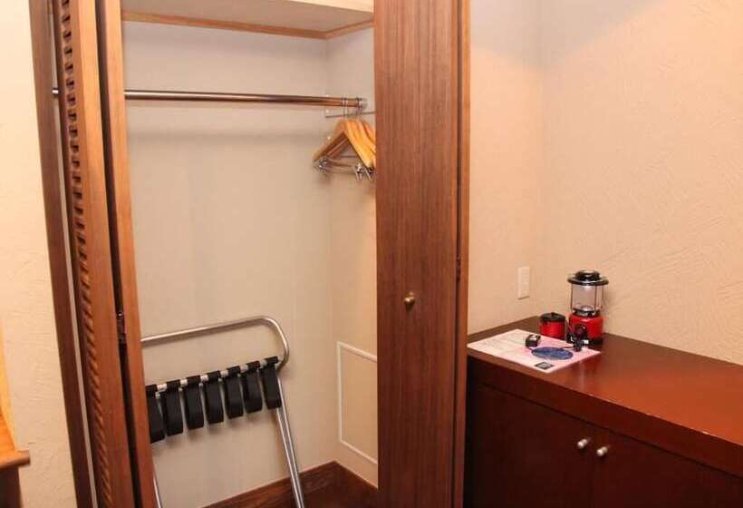 Fotos del hotel Toyota Shirakawa-go Eco-institute:  27