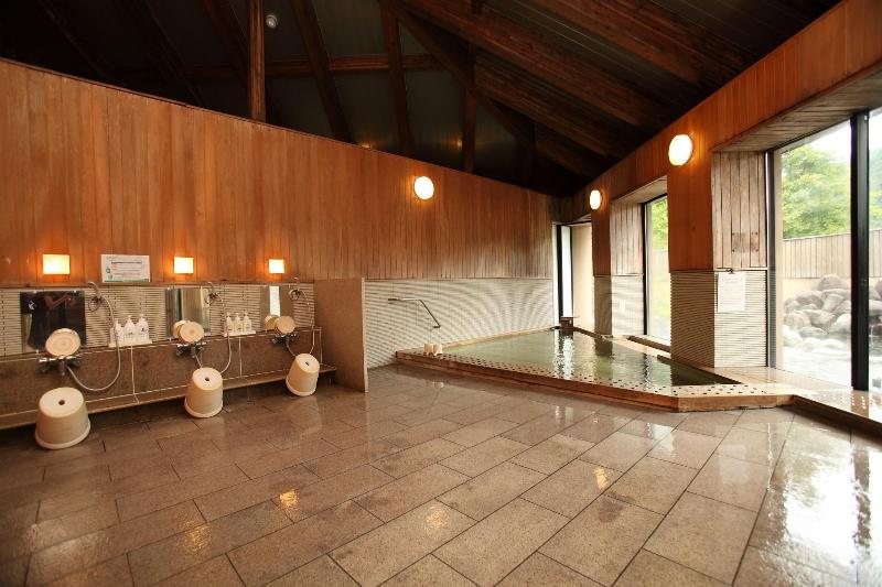 Fotos del hotel Toyota Shirakawa-go Eco-institute:  47