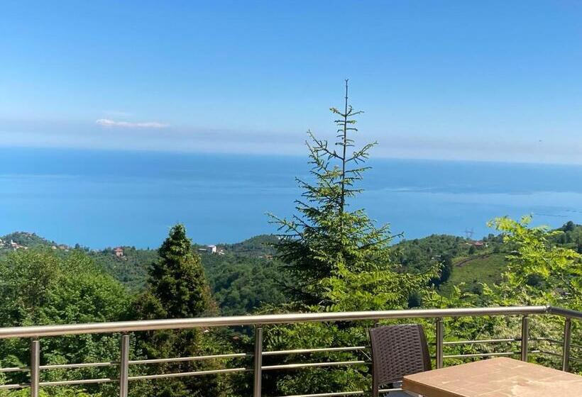 هتل Zarha Mountain Resort