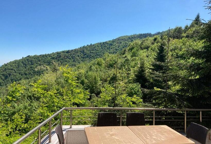 هتل Zarha Mountain Resort