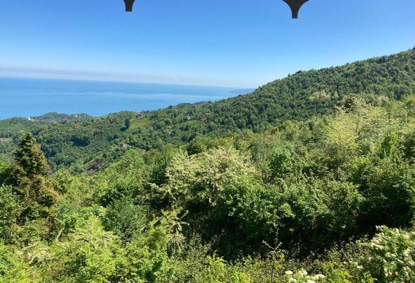 هتل Zarha Mountain Resort