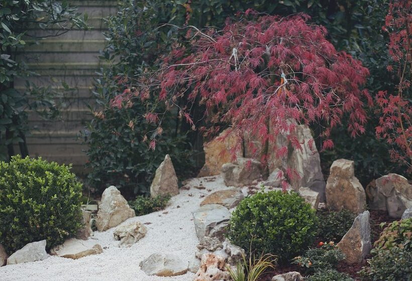 فندق B&b Il Faggio Rosso