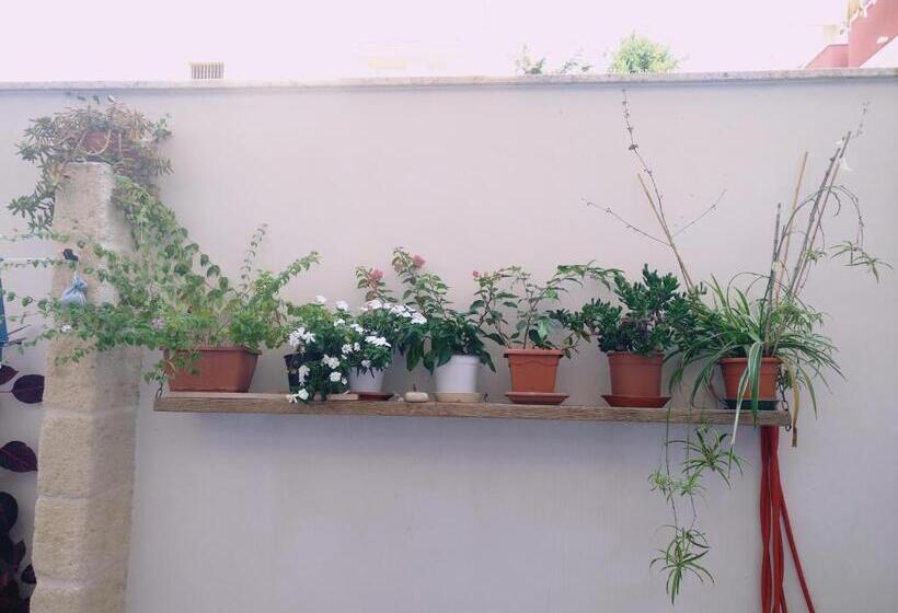 호텔 Casa Della Nonna Polignano A Mare