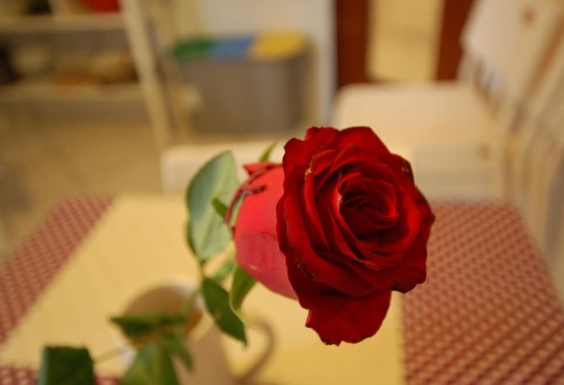 هتل La Rosa Scarlatta Broseta