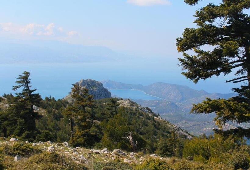 Fotos del hotel Vassilikon:  13