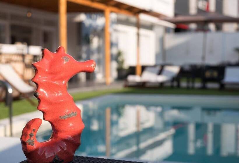 Fotos del hotel Pasiphae:  12