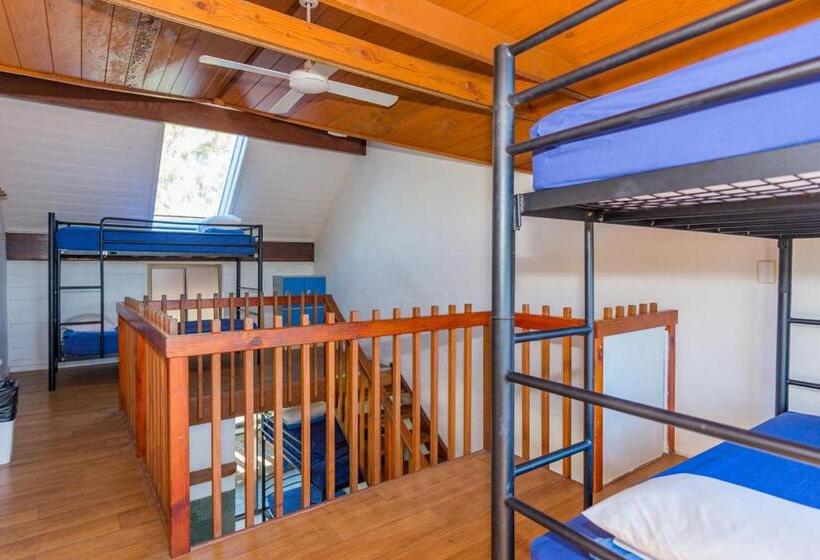 ホテル Aquarius Backpackers Resort