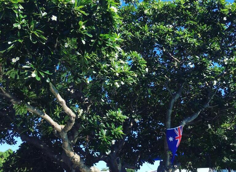 هتل Darwin Hostel