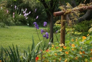 هتل Fawkes House Country Spa Retreat