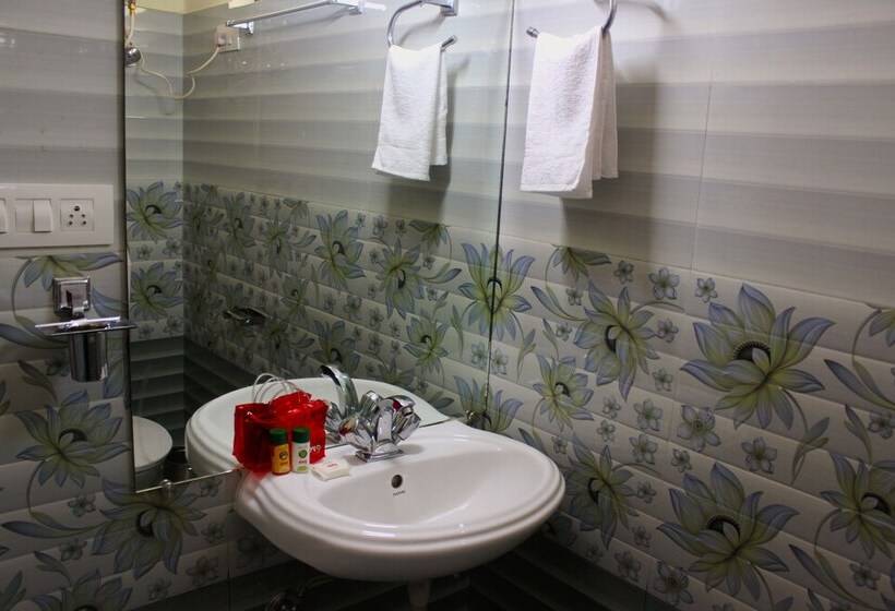Fotos del hotel Anuj Regency:  9