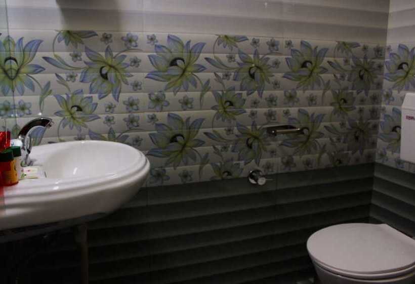 Fotos del hotel Anuj Regency:  11