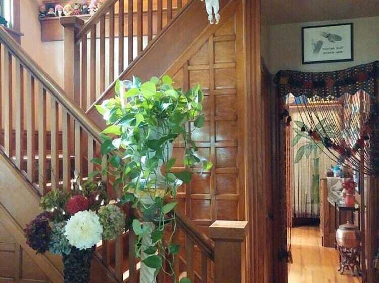 فندق Oasis Bed And Breakfast