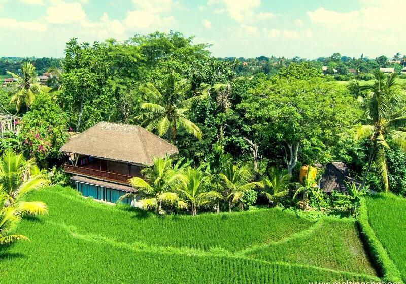 Fotos del hotel Prashanti Ubud:  19