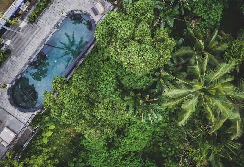 Fotos del hotel Amora Ubud Boutique Villas:  13