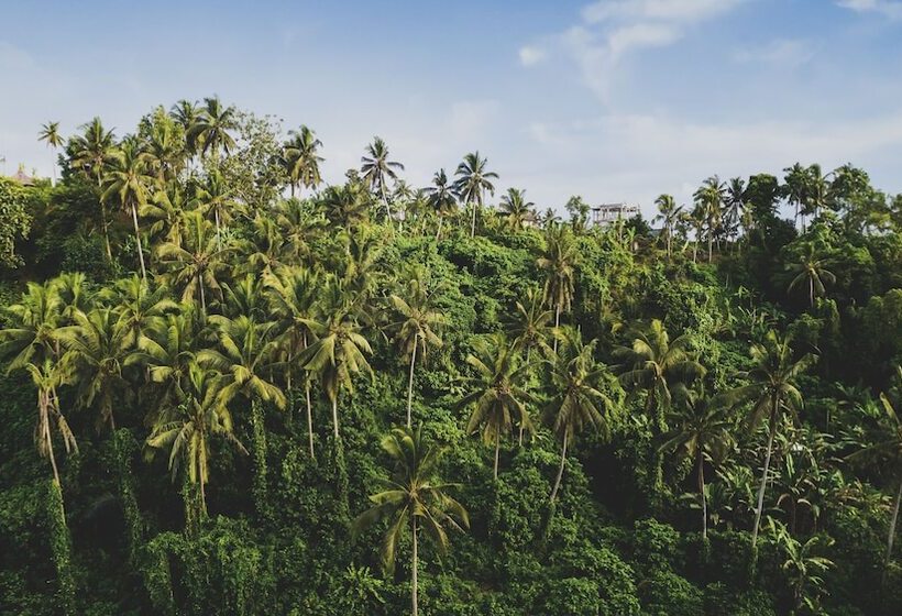 Fotos del hotel Amora Ubud Boutique Villas:  10