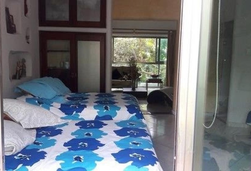 Fotos del hotel Casa La Selva:  4