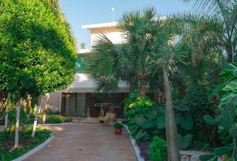 Fotos del hotel Casa La Selva:  26