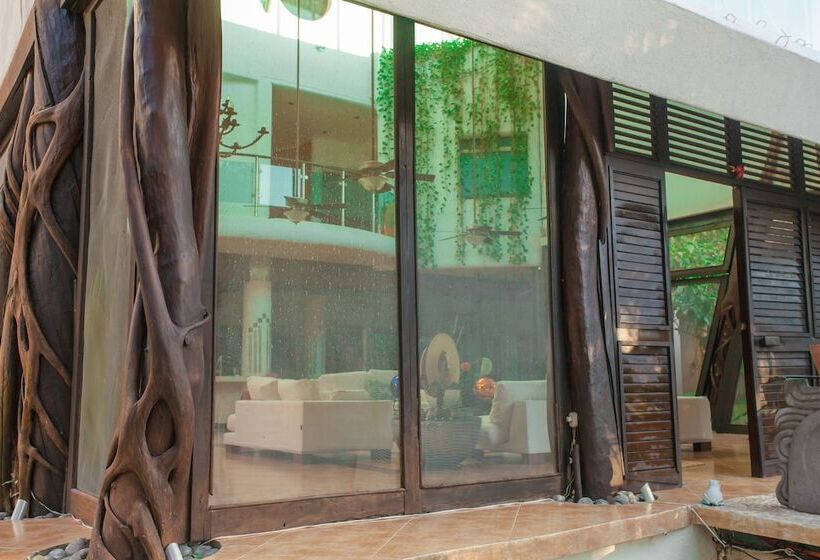 Fotos del hotel Casa La Selva:  31