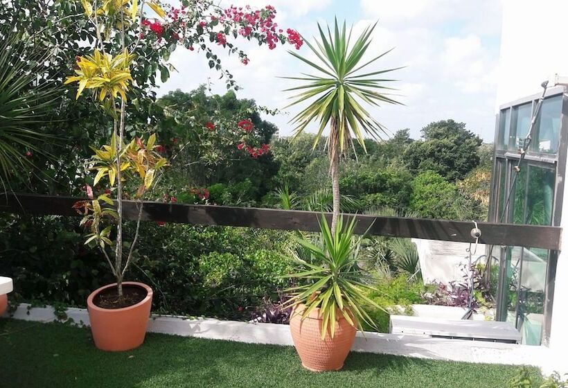 Fotos del hotel Casa La Selva:  30