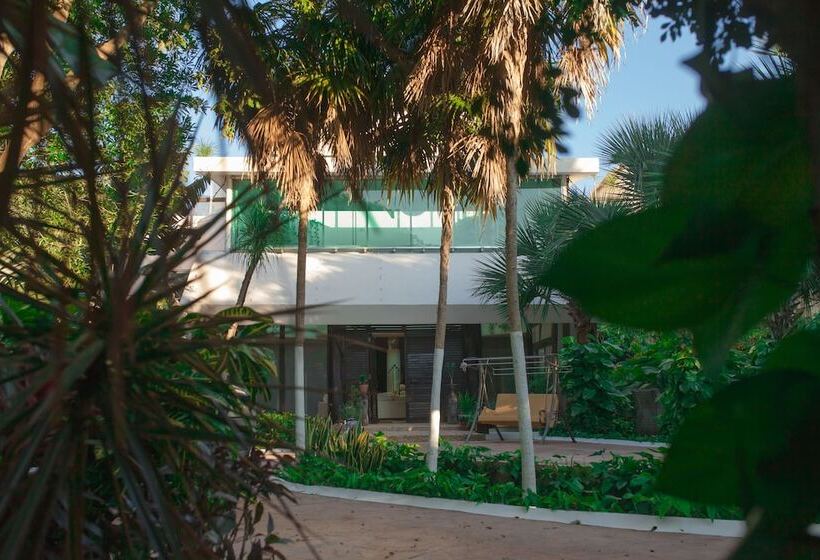 Fotos del hotel Casa La Selva:  32