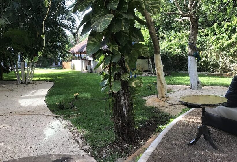 Fotos del hotel Casa La Selva:  33