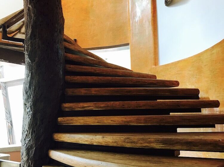 Fotos del hotel Casa La Selva:  35