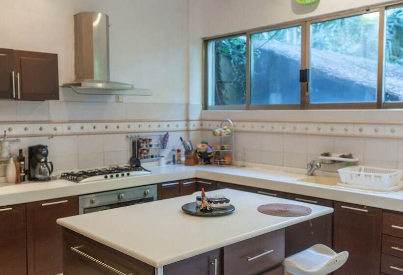 Fotos del hotel Casa La Selva:  14