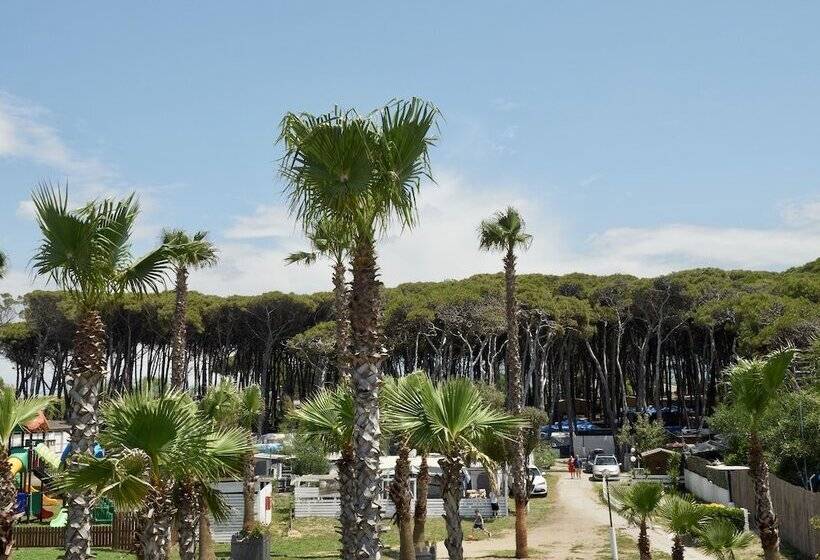 هتل Mare Pineta Camping