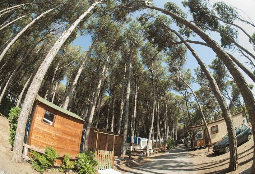 هتل Camping Village Mare Pineta