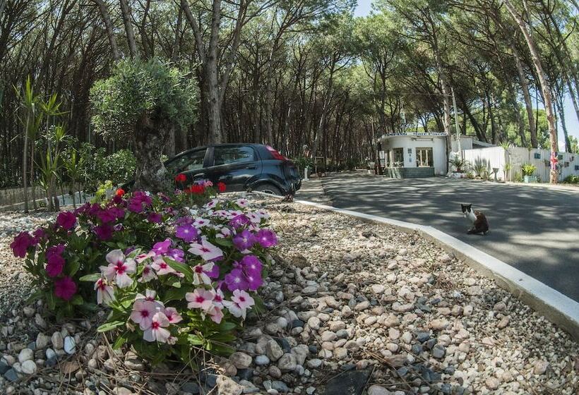 هتل Camping Village Mare Pineta