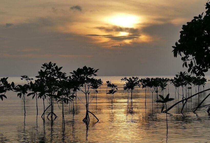 هتل Capital O 729 Amantra Lake View Resort