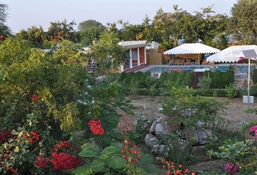 Achrol Bagh