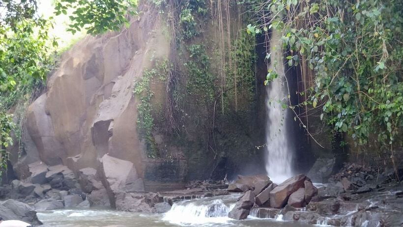 تختخواب و صبحانه Baliwid Villa Ubud