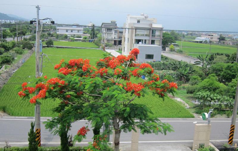 تختخواب و صبحانه Hao Ya Villa