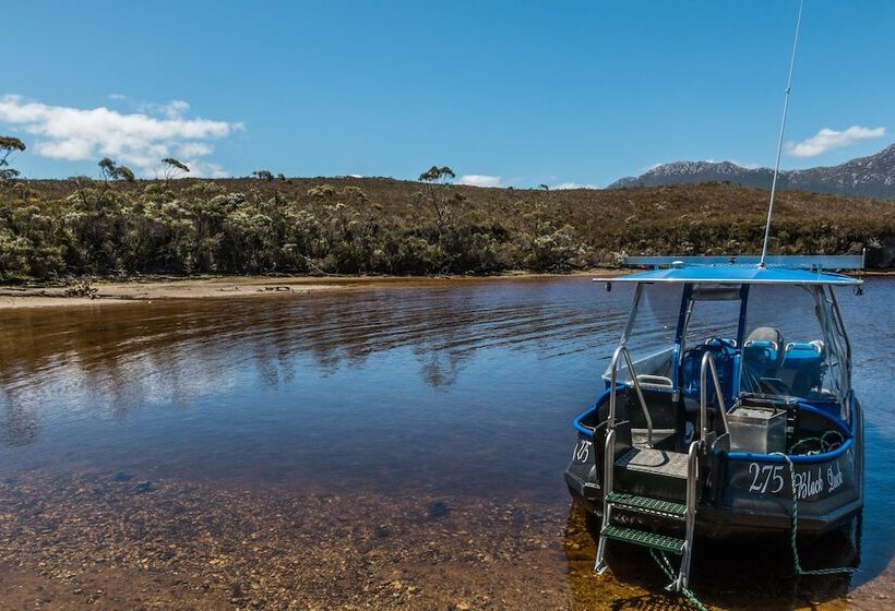 فندق Southwest Wilderness Camp   Tasmania
