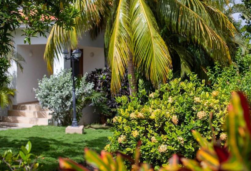 Tuk Tropical Boutique Resort Jan Thiel