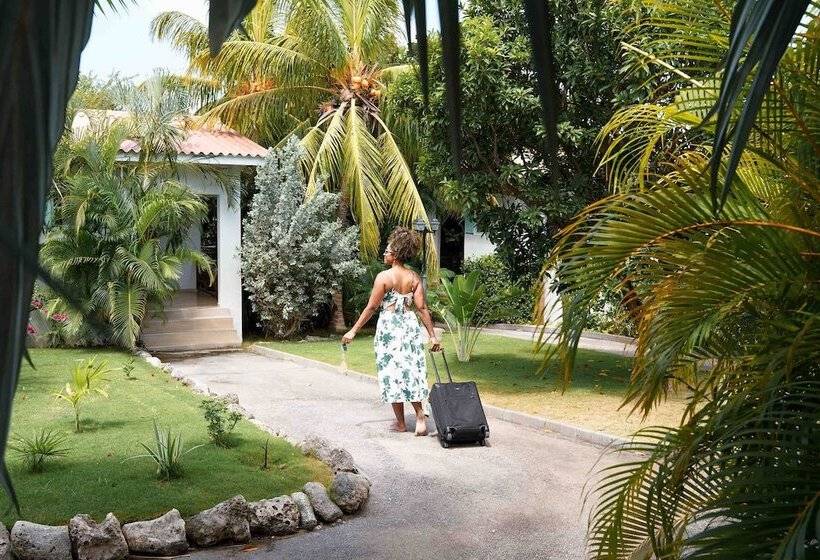 Tuk Tropical Boutique Resort Jan Thiel