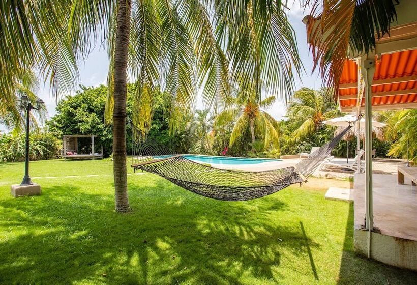 Tuk Tropical Boutique Resort Jan Thiel
