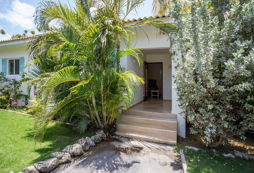 Tuk Tropical Boutique Resort Jan Thiel