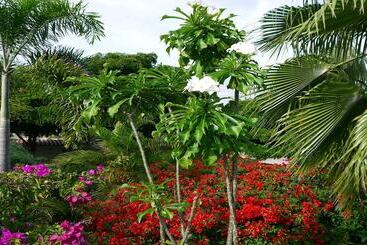 Villa Carpe Diem Curacao