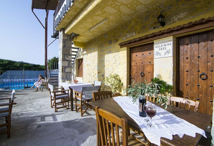 Villa Olive Tree
