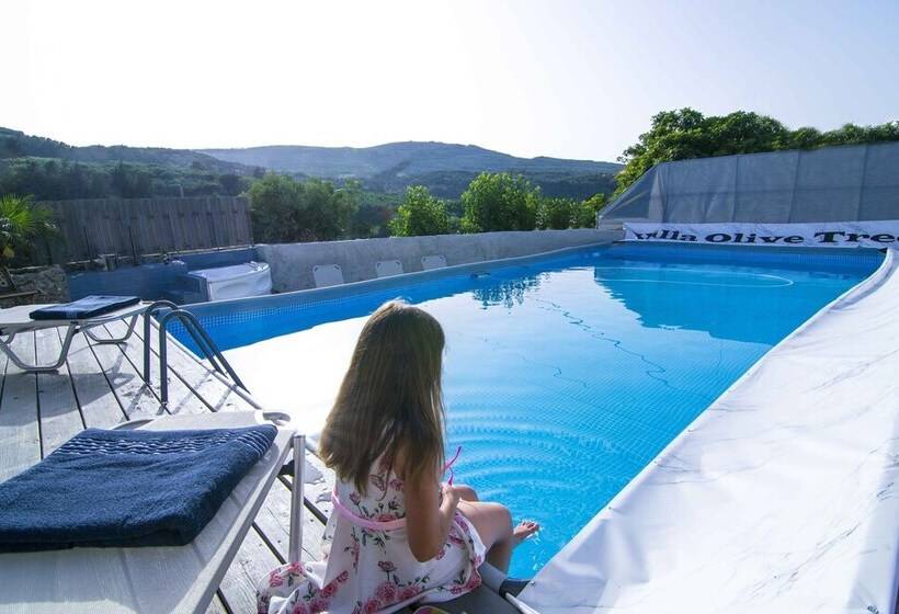 Villa Olive Tree
