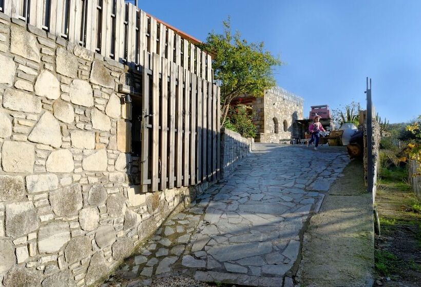 Villa Olive Tree