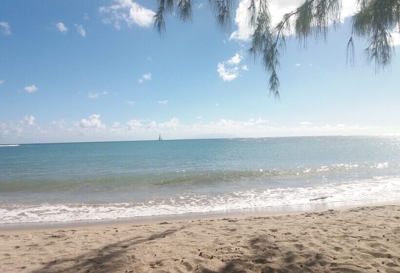 تختخواب و صبحانه A Private Room In Paradise, Vieux Fort