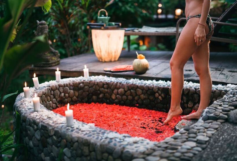 مبيت وإفطار Bali Dacha