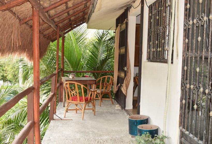 Camping Hostal El árbol De La Vida   Hostel